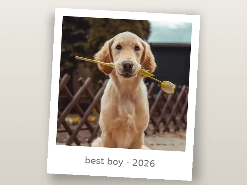 A photo of a dog inside a white Polaroid frame with a handwritten-style caption, tilted on a neutral backdrop
