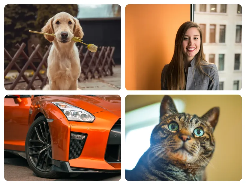 Four photos arranged into a two-by-two collage grid with white gaps and rounded corners