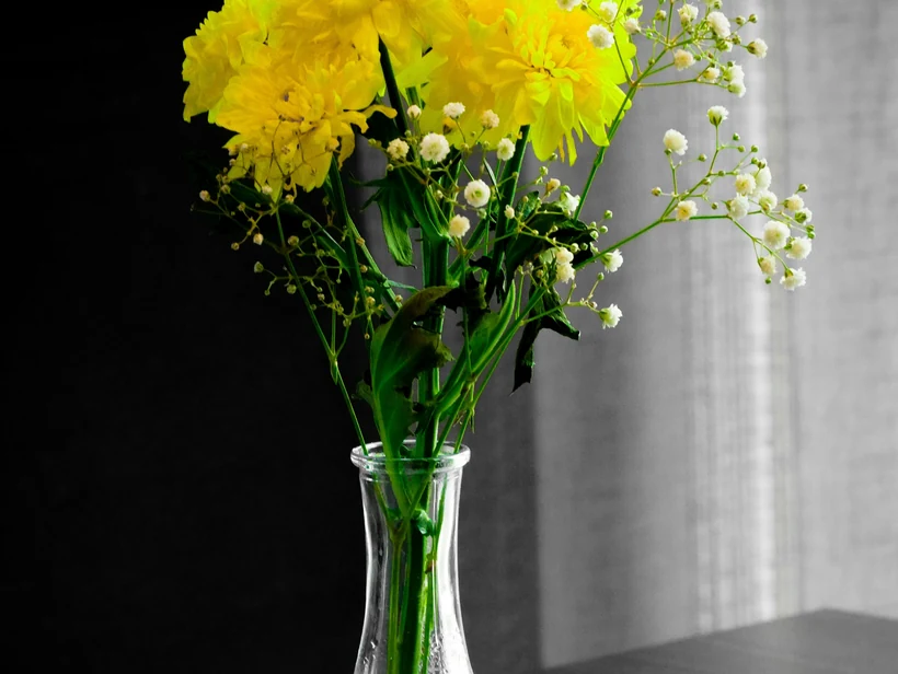 Sample image, unchanged by the conversion