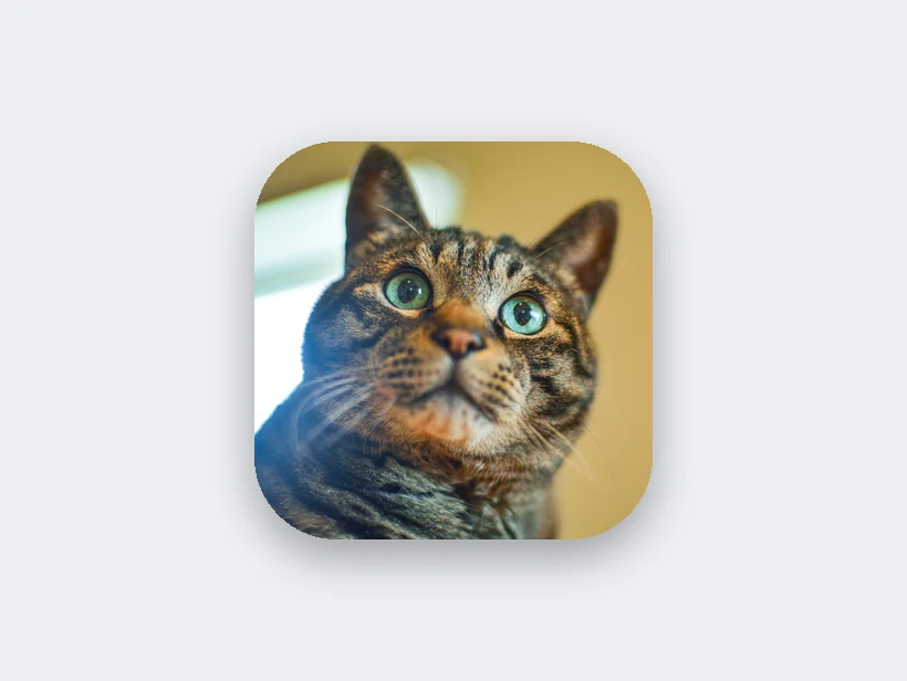 App icon